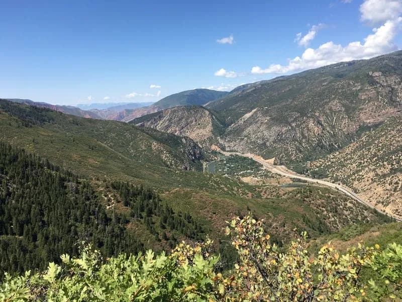 Forest Hollow Trail