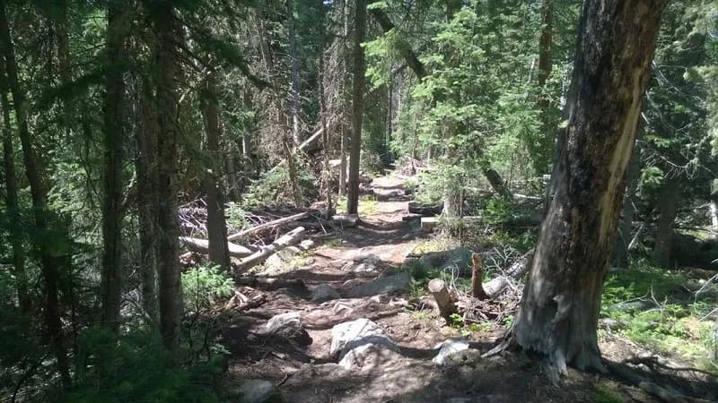 Trail 409
