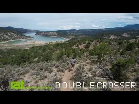 Double Crosser