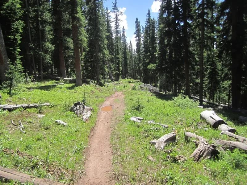 Trail 607 (Reno Ridge)