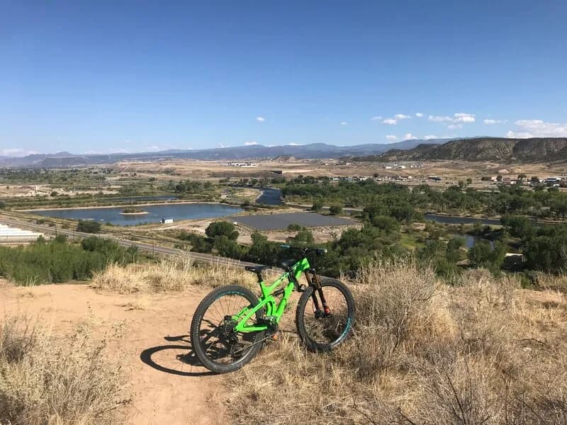 Bonsai Loop