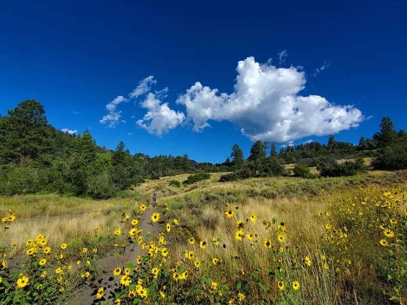 Dry Fork Trail
