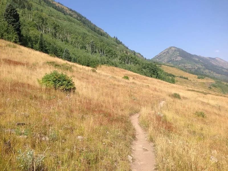 Budd Trail