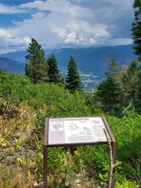 Animas Overlook View To The North