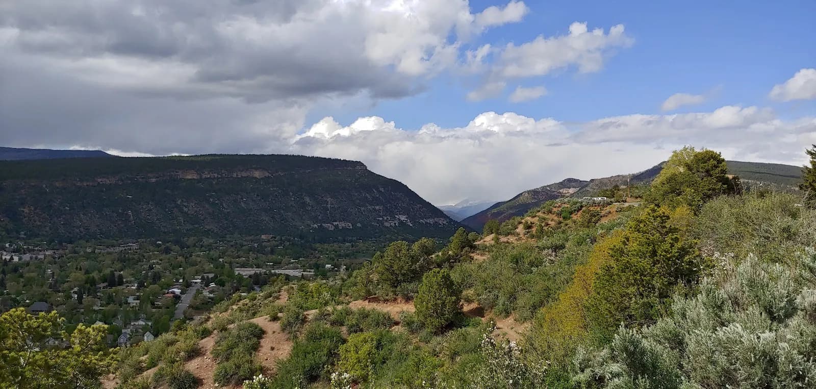 Peter Carver Memorial Forest and Geology Overlook