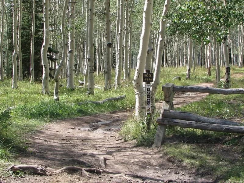 Black Pine Ridge Loop