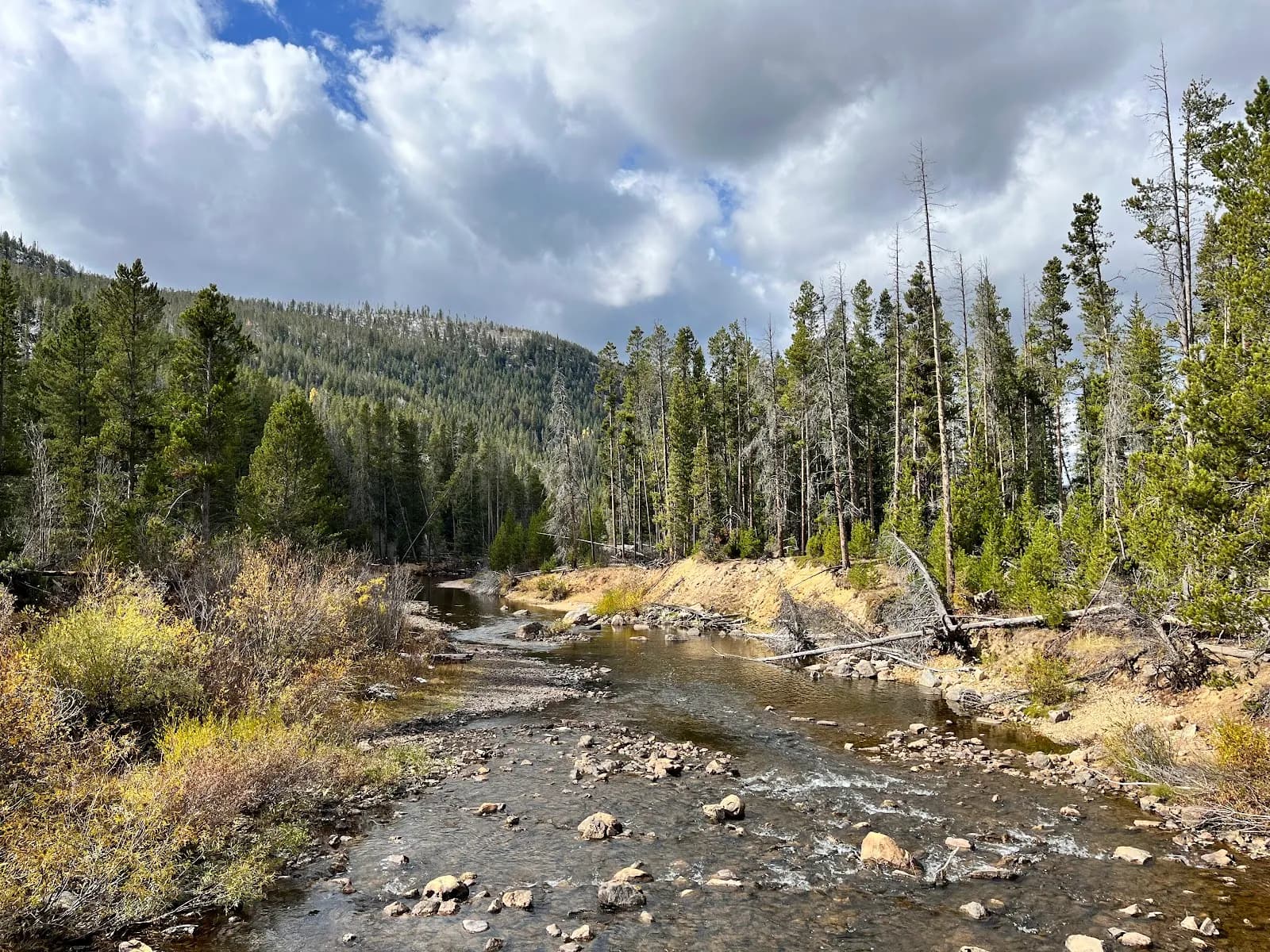 Arapaho and Roosevelt National Forests and Pawnee National Grassland