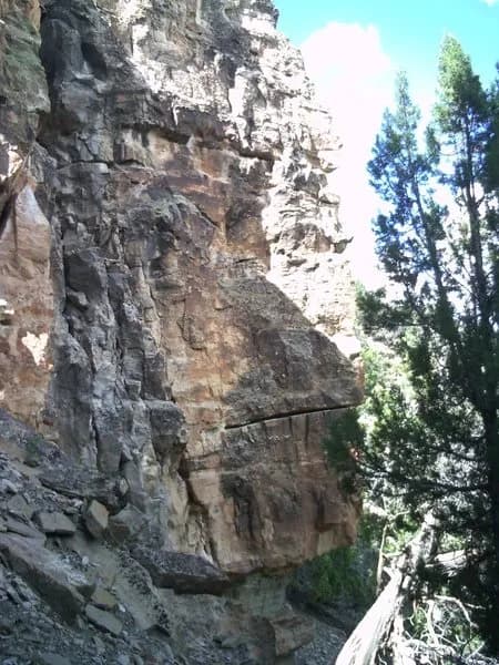 Eagle's Edge