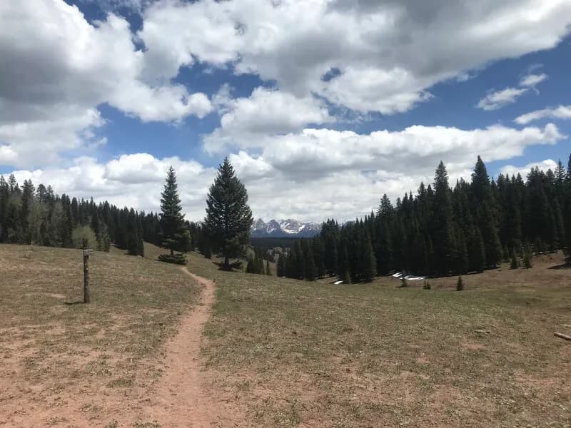 Connector: Little Elk Trail 515 to Elbert Creek Trail 512
