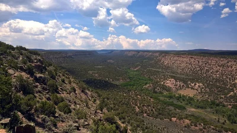 Dakota Rim