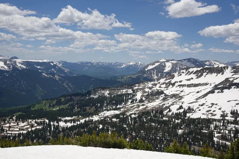 Halfway Up Facing South