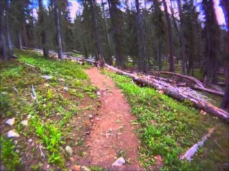 Pov Of The Entire Greysil Trail Thanks To The Local Who Adopted This Trail