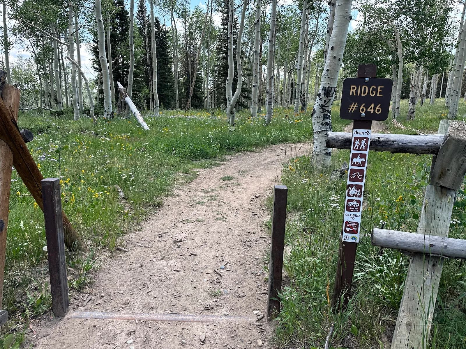 Grand Mesa Ridge Trailhead