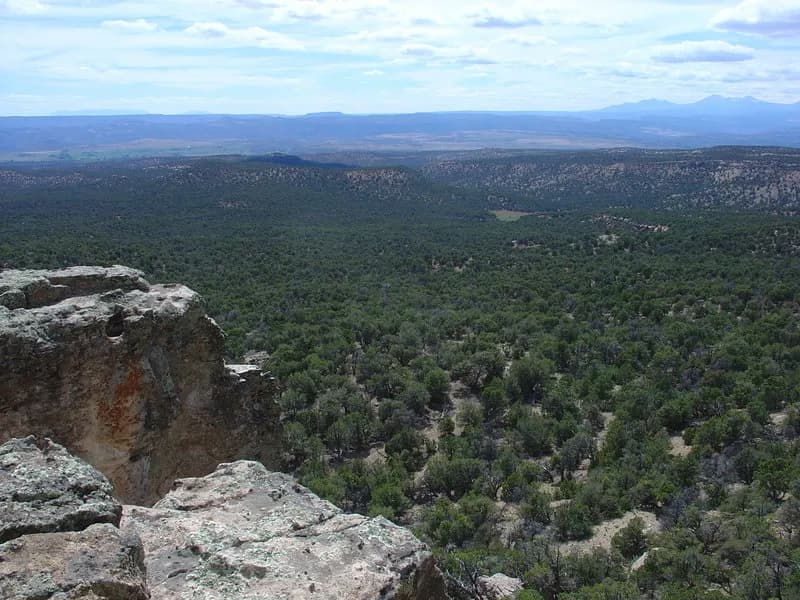 Paradox Trail