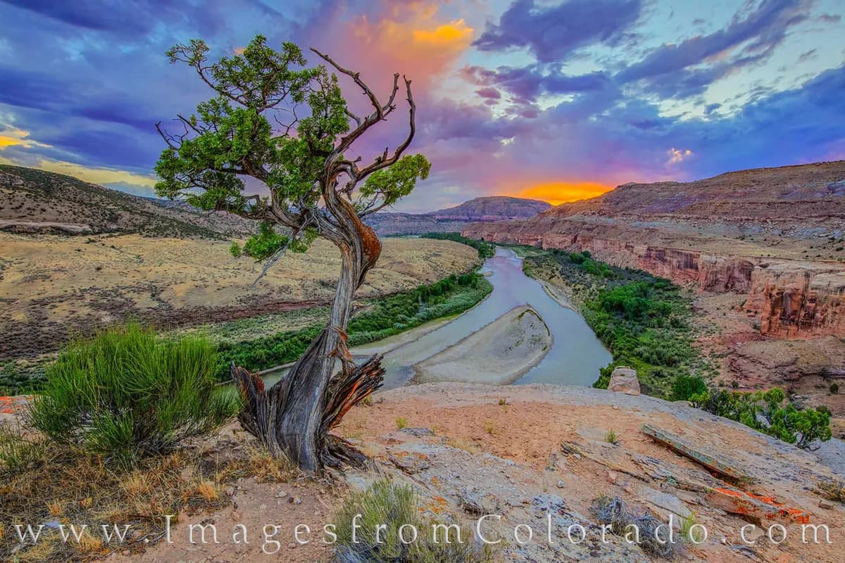 Colorado River - Ruby-Horsethief Canyon