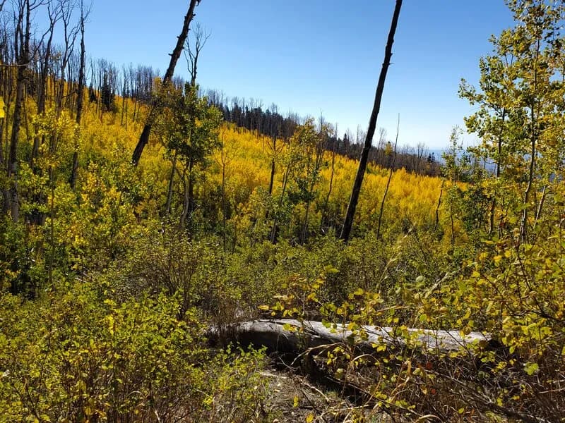 Looking East From Mud Springs Trail