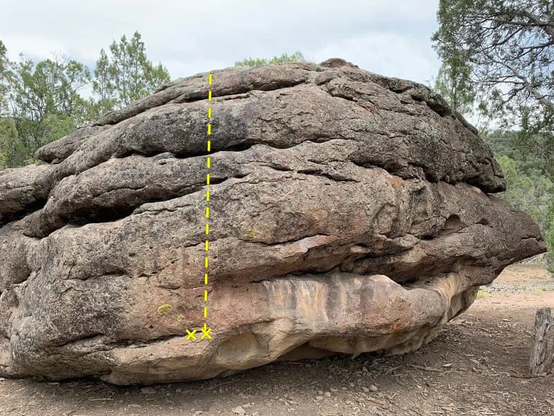 I Need A Heeler! main view