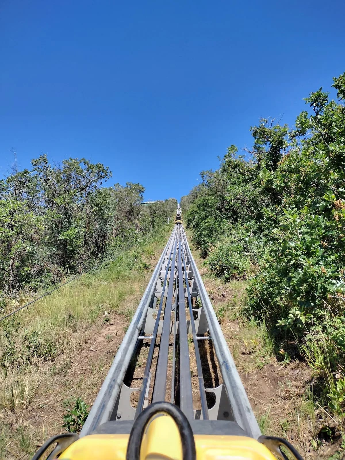Alpine Coaster