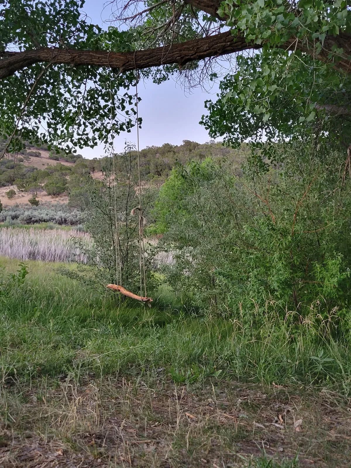 Wolf Ranch Park Trailhead