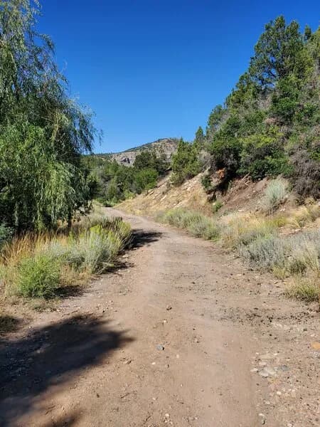Wide Start To Horse Gulch Road