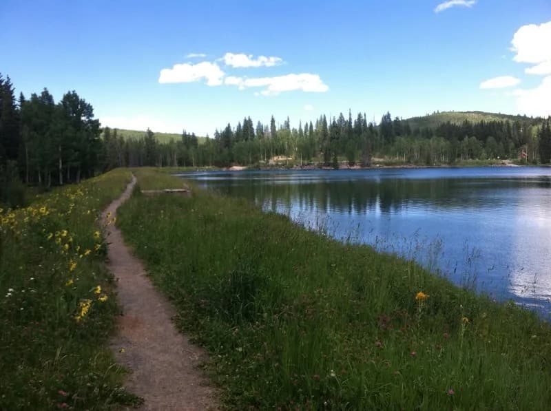 Mesa Creek Trail #2505