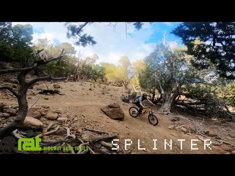 Speedy Gonzales