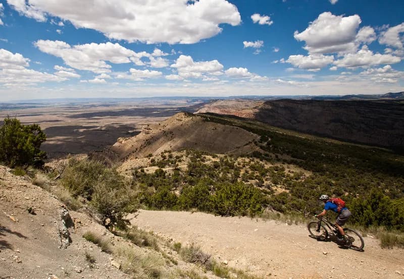 The Edge Loop: Ross Ridge