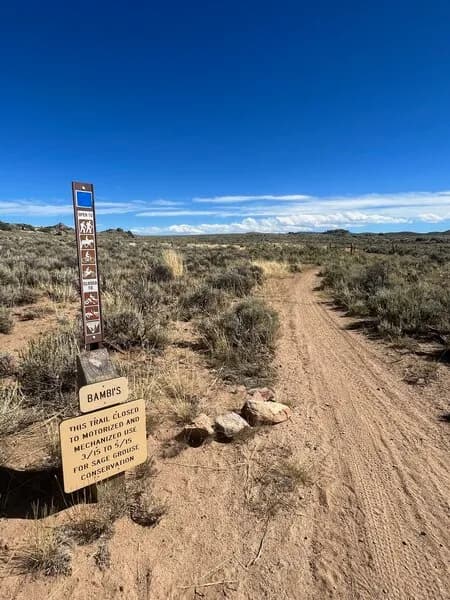 Road 3550 (Powerline Road)