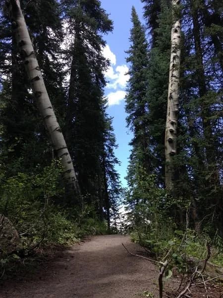 Lost Lake Trail #2502