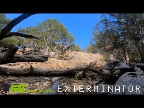 Exterminator