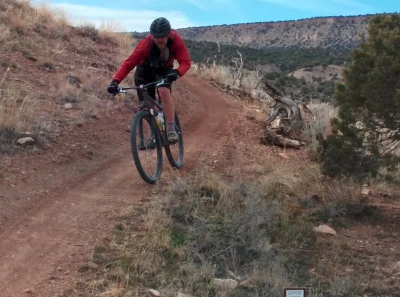 Ewok Loop