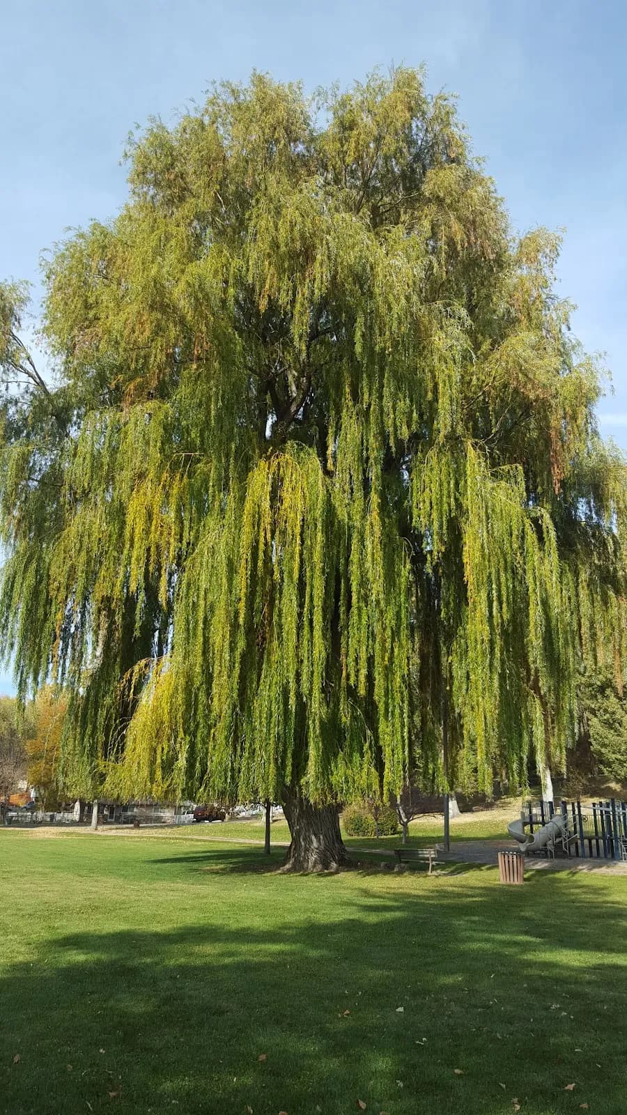 Cleland Park