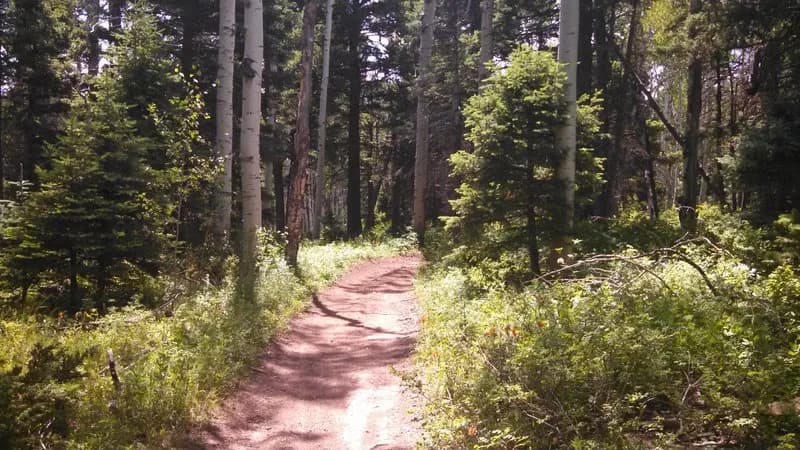 Dented Door Trail