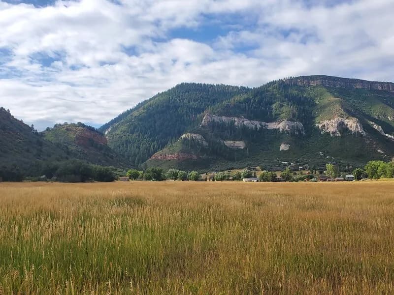 South Meadow