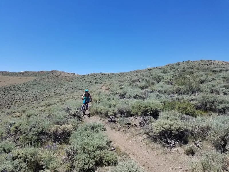Aberdeen Loop