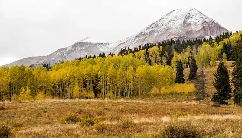 Pass Creek to Engineer Mountain Trail