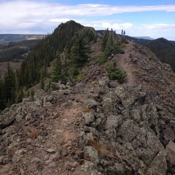 Rocky Singletrack Atop The Crest At 11000 Ft