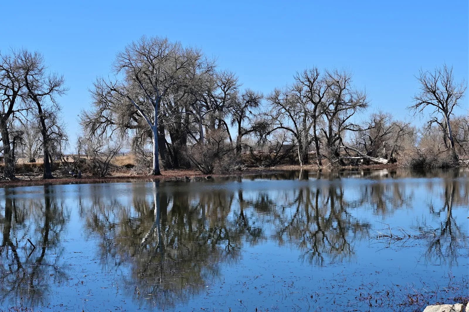 Barr Lake State Park