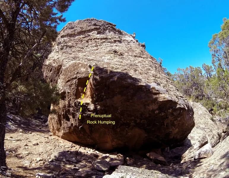 Prenuptial Rock Humping