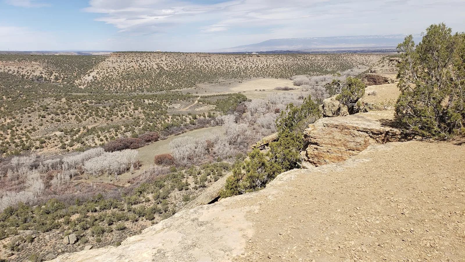 Buzzard Gulch Trails