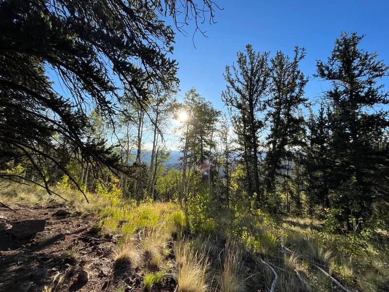 Colorado Trail: Segment 17 Out-and-Back Hike