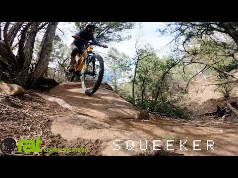 Squeeker