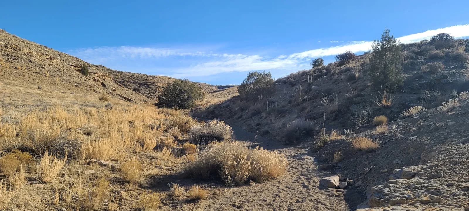 Sun Cliff Canyon Trailhead