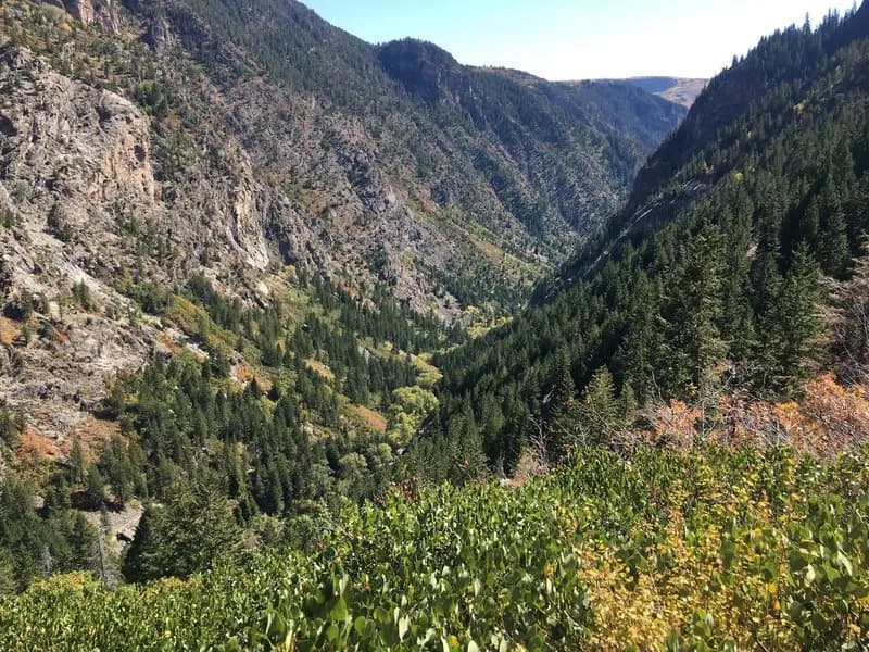 Grizzly Creek Trail #2065