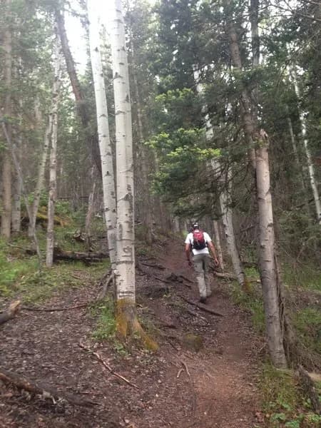 Valley Floor Trail