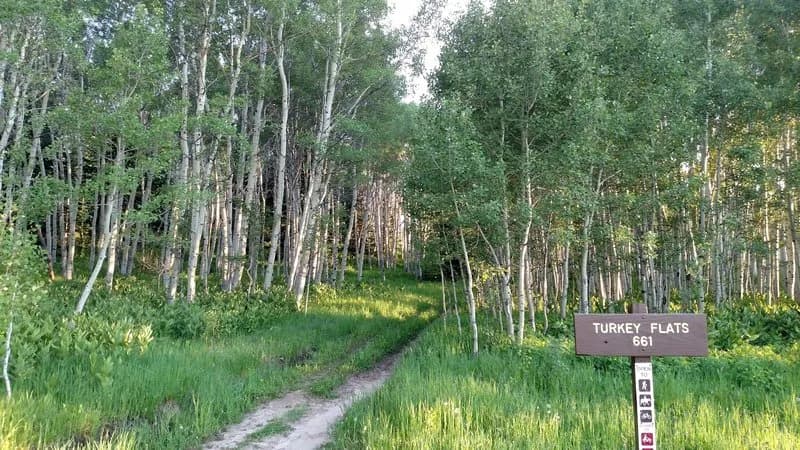 Turkey Flats Loop