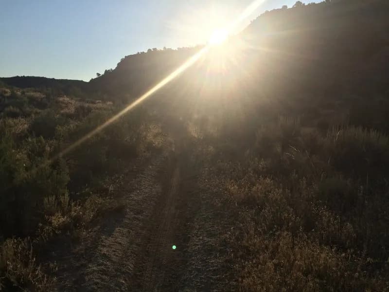 Paul's Trail