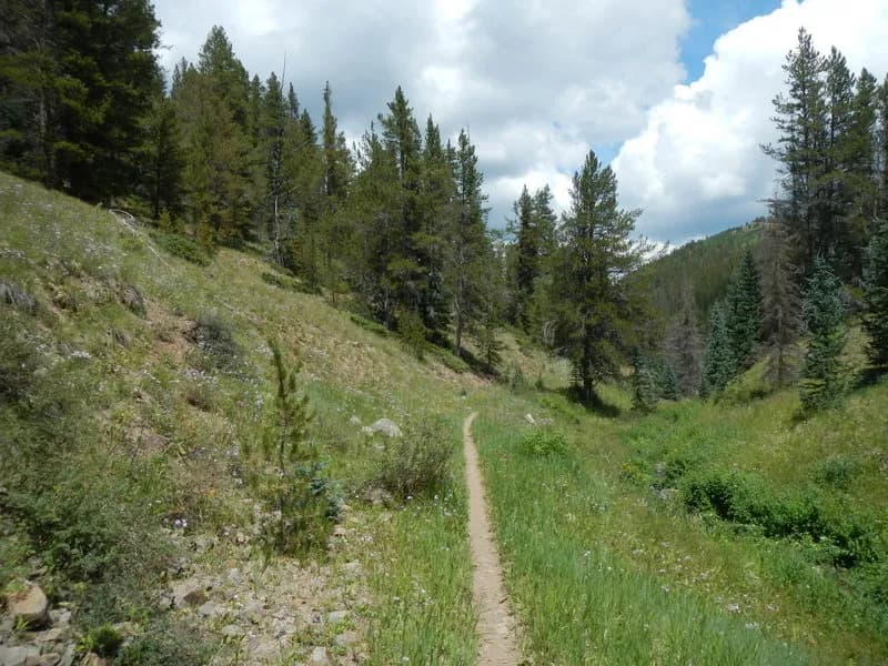 Tank Seven Creek Trail #480