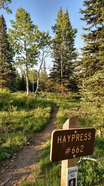 Haypress Downhill #662