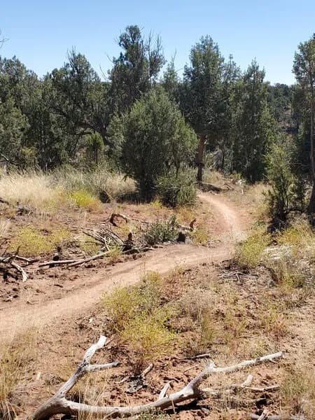 South Rim Extension